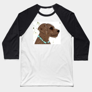 Cute brown dog, turquoise collar Baseball T-Shirt